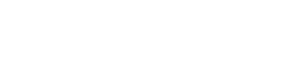 인서베이원 IN-SURVEYONE