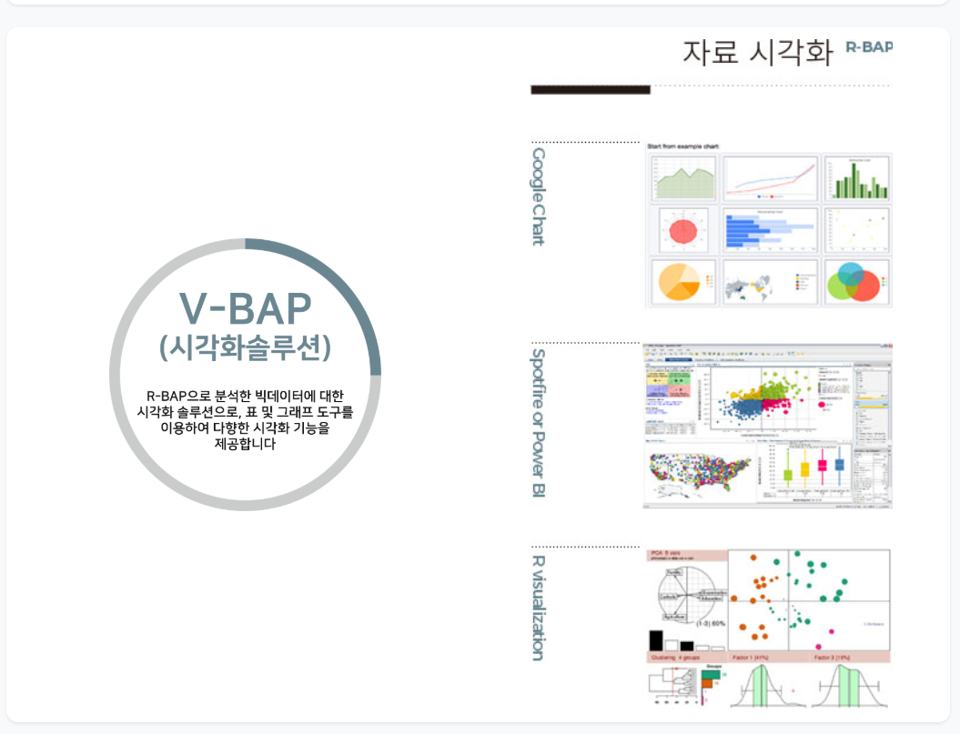 차트와 BI, R 시각화를 제공하는 V-BAP 소개 자료